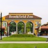 Regresa el ‘ZooBrew’ del Brookfield Zoo