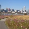 El Distrito de Parques de Chicago Celebra la Gran Apertura de Northerly Island