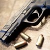 Elected Officials Demanding Action to Stop Assault Weapons