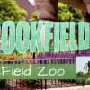 Brookfield Zoo Celebrates 50 Years with Mold-A-Rama®