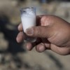 La Leche de Burra Utilizada para Combatir Problemas Respiratorios en Bolivia