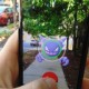 Mayor Robert J. Lovero, the Berwyn Park District, and the Berwyn Police Department Hold Pokémon Go Event at Proksa Park