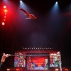 UniverSoul Circus Plays Chicago