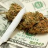 Frerichs Seeks Commonsense Change to Protect Medical Marijuana Patients