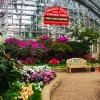 Garfield Park Conservatory’s Spring Flower Show to Feature Botanical Cubs’ World Series Trophy