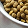 Pet Food Company Issues Recall Over Potential Sickness, Death