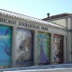 Swing Over to Brookfield Zoo for Ape Awareness Weekend