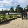 Noble Street College Prep Students Participate in Day of Service at Urban Farm on West Side