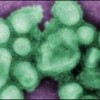 U.S. Lifts Funding Ban on Studies that Enhance Dangerous Germs