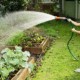 Young Gardeners Eat More Greens in First Year at College