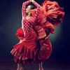 El Instituto Cervantes de Chicago Presenta el 16º Festival Flamenco de Chicago