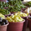 Chicago Food Policy Action Council to host 13th Annual Chicago Food Policy Summit