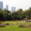 El Distrito de Parques de Chicago Busca Embajadores