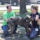 Empty The Shelters