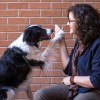 Chicago Animal Care and Control Anuncian Nuevo Programa para Regresar Animales Perdidos