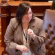 Castro: Rauner Prioritiza a los Grandes Bancos sobre los Consumidores Locales