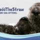 Loews Chicago Hotel el Primero en Unirse al Shedd en la Iniciativa ‘Sin Pajas’