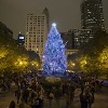 City of Chicago Looking for the Perfect Christmas Tree