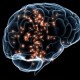 Prenda su Cerebro