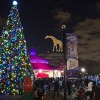 Final Night of Holiday Magic Features Zoo Year’s Eve Celebration at Brookfield Zoo