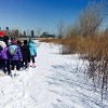 El Distrito de Parques de Chicago Abre su Inscripción en Línea para los Programas de Invierno