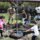 Lincoln Park Zoo, Shedd Aquarium, and Brookfield Zoo Announce Family-Friendly Events to Support the Environment