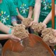 Comcast to Host Annual Comcast Cares Day