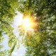 Two Hours Per Week is Key Dose of Nature for Health and Wellbeing