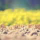 Stay Healthy During Summer