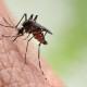 CDPH to Reduce Threat for Residents