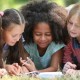 Easy Tips for Summer Learning