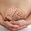 Gut-Brain Connection Helps Explain How Overeating Leads to Obesity