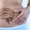 La Conexión Cerebro-Intestino Ayuda a Explicar como Comer en Exceso Conduce a la Obesidad
