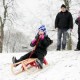 Disfrute de Actividades, Eventos y Programas de Invierno Toda la Temporada en las Reservas Forestales del Condado de Cook