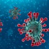 Illinois First State to Test for Novel Coronavirus