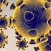 Public Health Officials Report Local Progress in Containing Novel Coronavirus