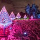 Festive Lights, Glimmer, and Holiday Magic