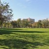 Chicago Park District Suspends In-Person Programming