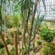 Garfield Park Opens with Flower Show ‘Saturation’