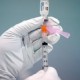 Vaccine Mandate Facing Backlash from Unions