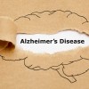 November is Alzheimer’s Awareness Month