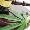 New Leaf Illinois Celebrates One Year of Free Cannabis Expungement Services