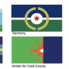 El Condado de Cook Anuncia Finalistas de la Competencia de Rediseño de Banderas