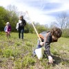 Celebrate Earth Day with Volunteering and Events in the Forest Preserves of Cook County