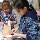Celebre el Día del Planeta con Voluntariado y Eventos en las Reservas Forestales del Condado de Cook