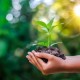 Chicago Public Schools to Host District-Wide Earth Day Events