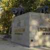 Lincoln Park Zoo to Host Summer Programs