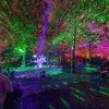 10º Años de Iluminación: Arboles Iluminados en el The Morton Arboretum