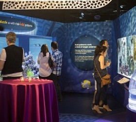‘Underwater Beauty’ Special Exhibit at Shedd Aquarium to Close April
