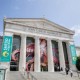 Fuel Your Curiosity at Shedd Aquarium